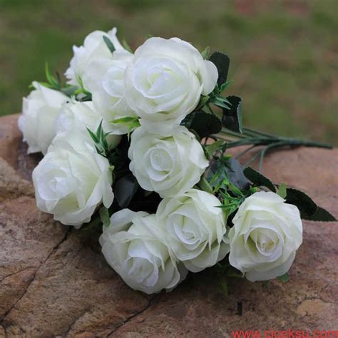 Beyaz güllerin anlamı